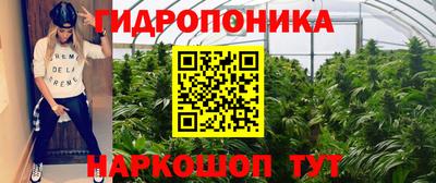 тгк Кимры