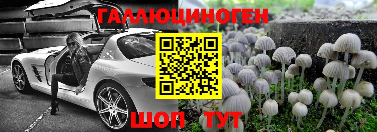 Псилоцибиновые грибы MAGIC MUSHROOMS  Псилоцибиновые грибы Cubensis  Курчатов  Вход с VPN 
