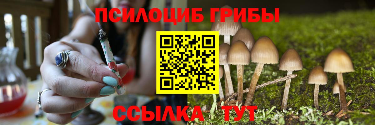 Галлюциногенные грибы GOLDEN TEACHER Курчатов